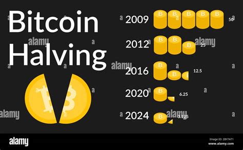 bitcoin halving 2024 counter